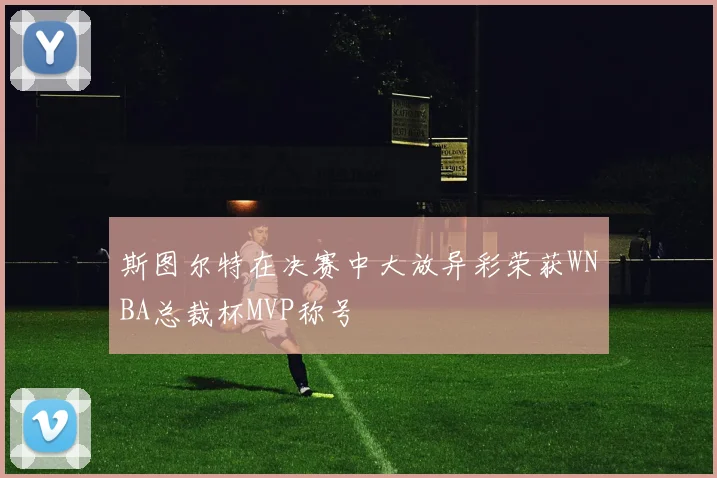 斯图尔特在决赛中大放异彩荣获WNBA总裁杯MVP称号